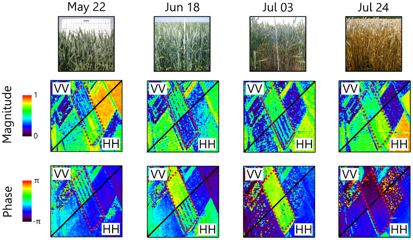 Enlarged view: SAR Polarimeteric analysis of agricultural crops